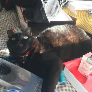 Meet your Posher, Anna